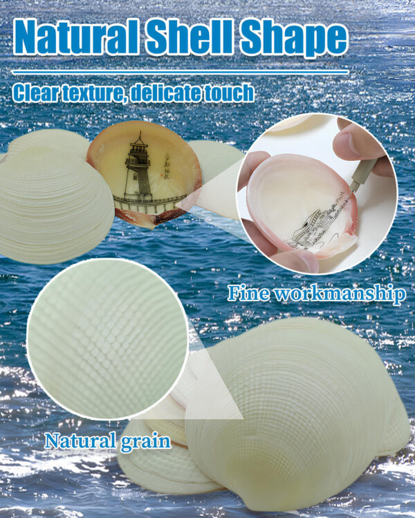 Shell Painting - Image 4